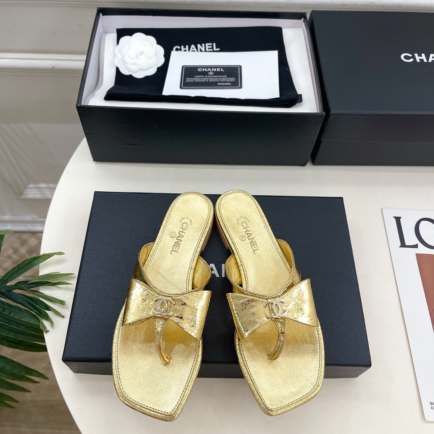 CC Bow Thong Flat Sandals Gold Metallic Leather 891773