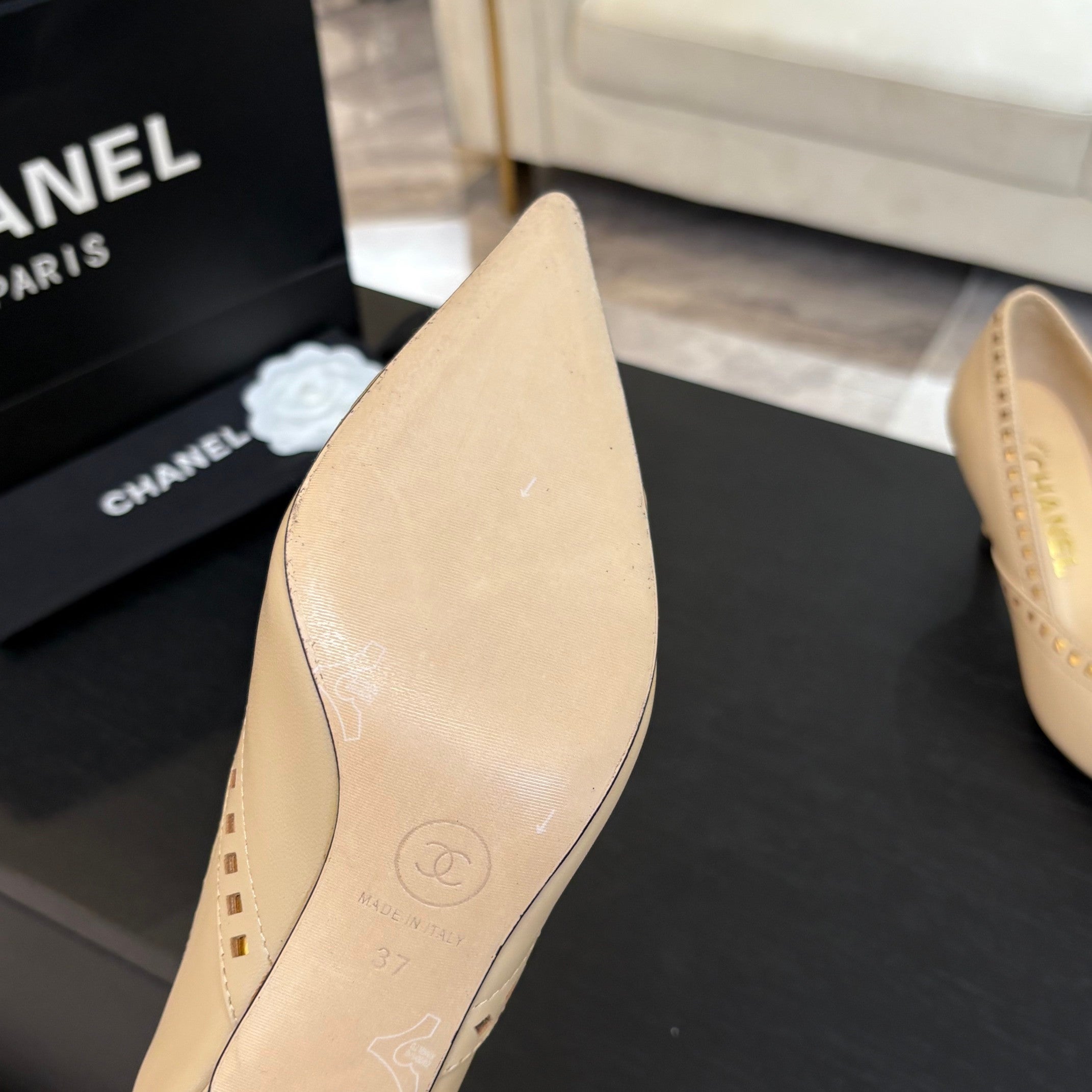 CC Bow Pointed Toe Pumps 6.5cm Beige Leather 912932