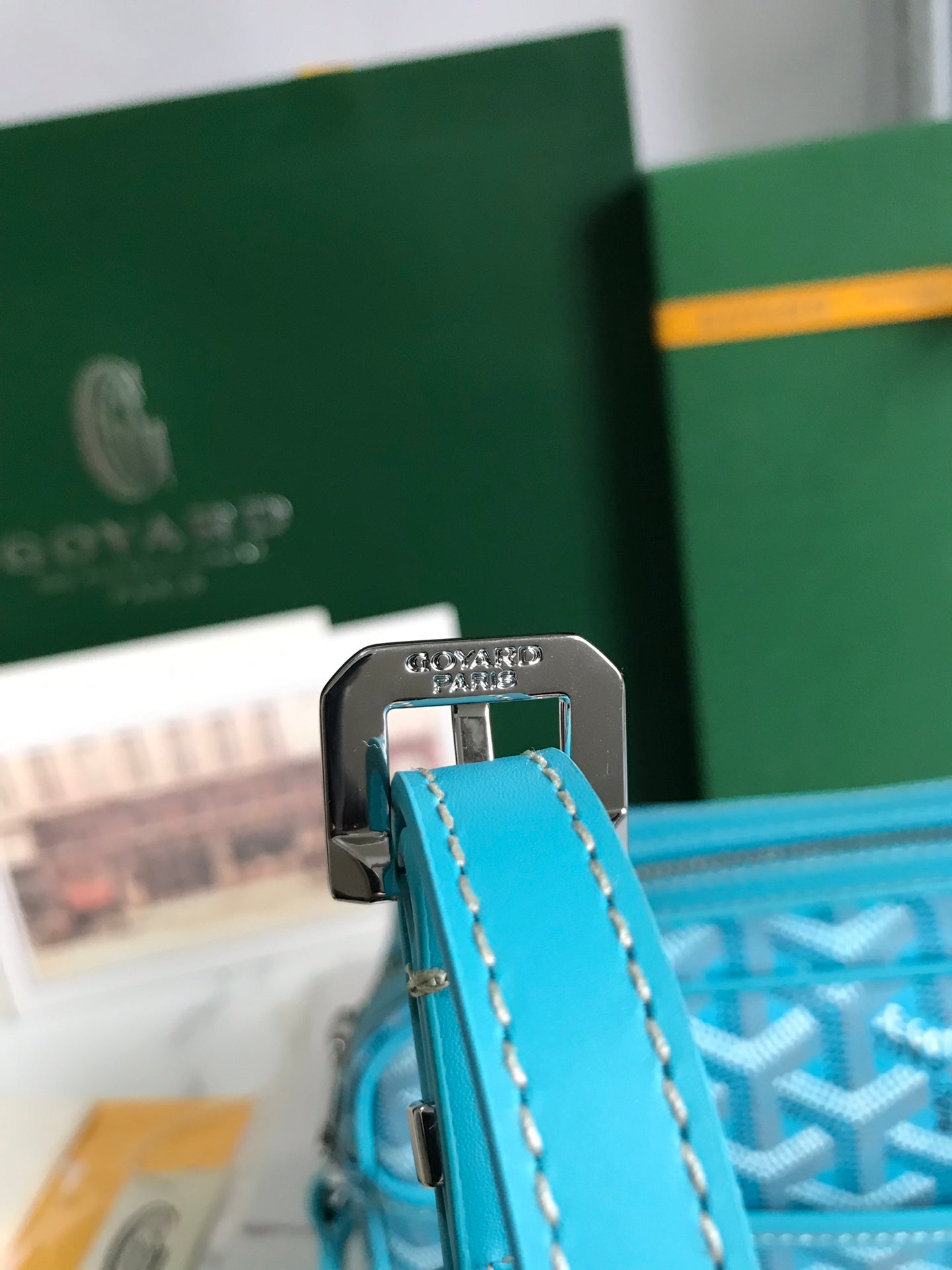 Goyard Cap-Vert Camera Bag Light Blue Calfskin Canvas 290861