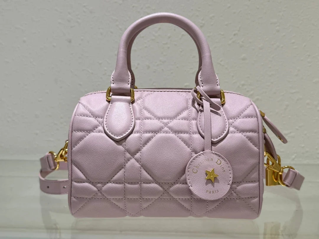 Dior 2026 Groove Bag Pink Calfskin Gold Hardware