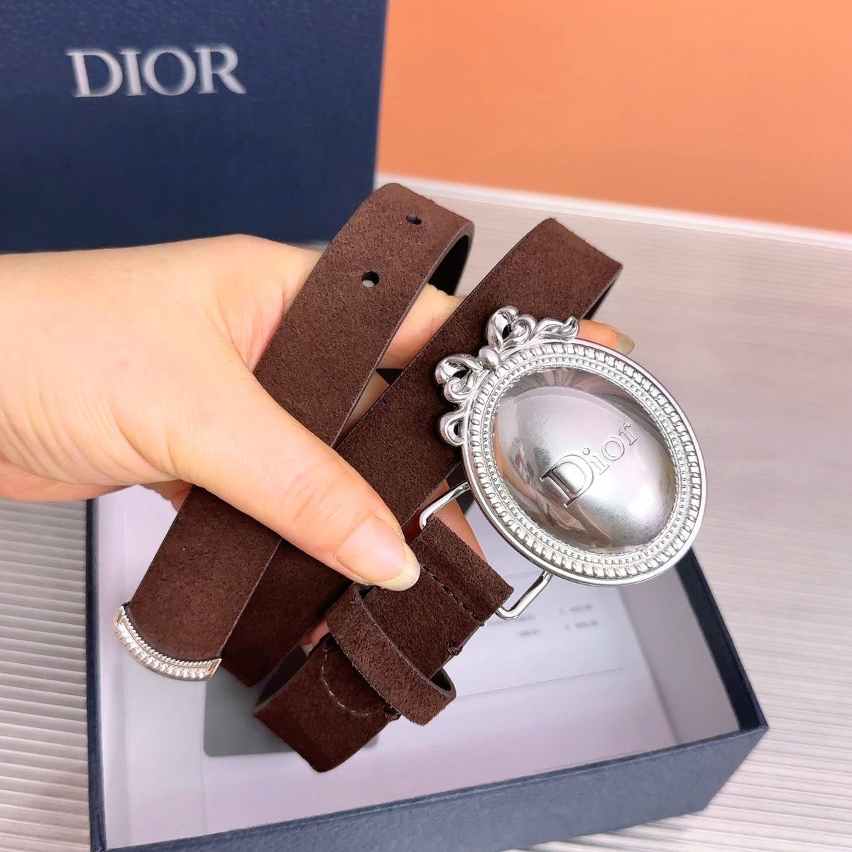 Dior 2026 Medaillon Belt 25mm Suede 218667