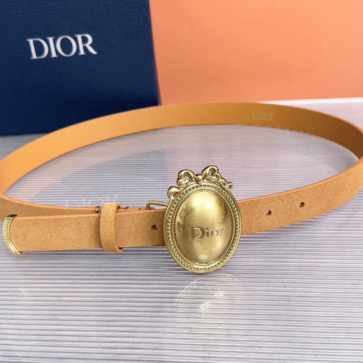 Dior 2026 Medaillon Belt 25mm Suede 218667