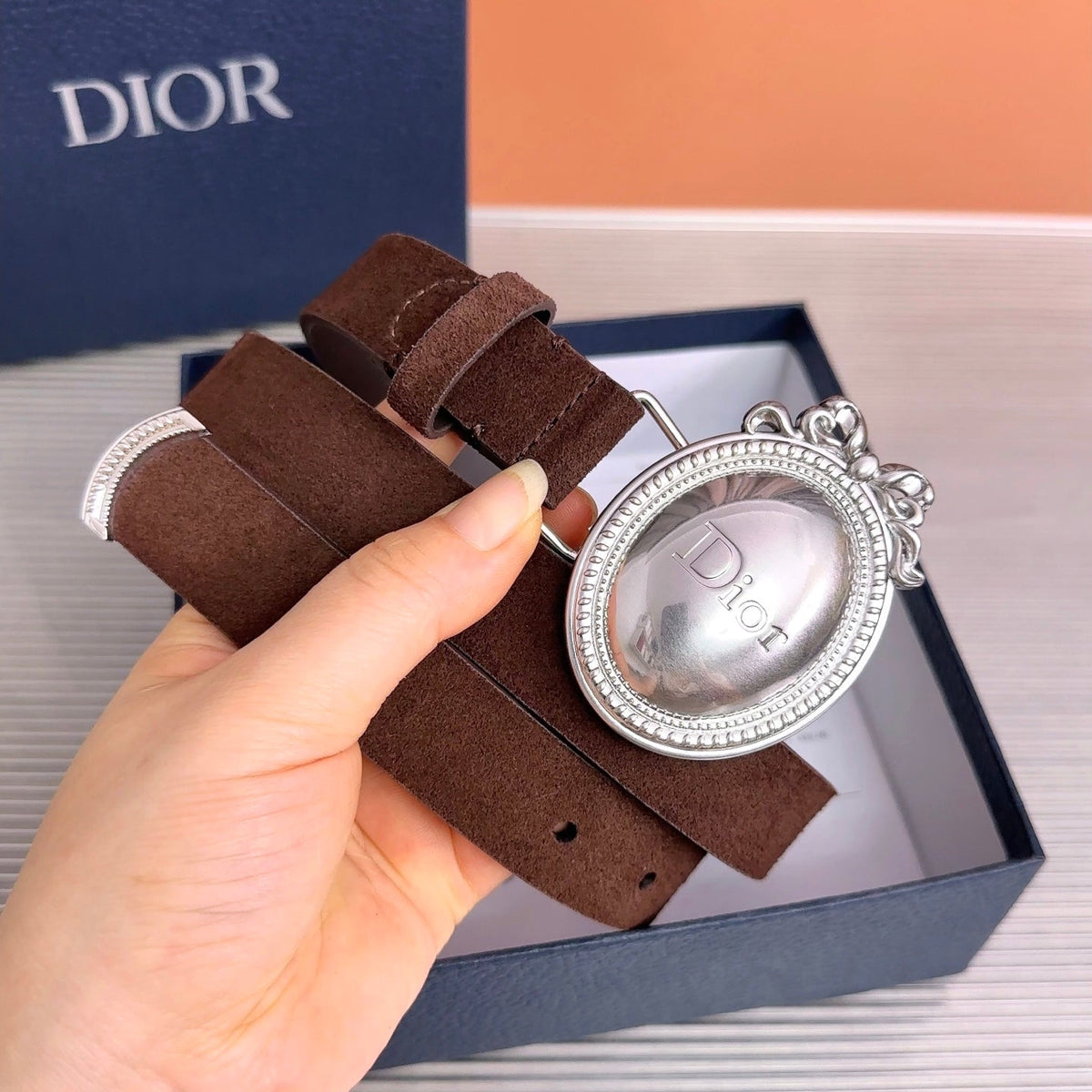 Dior 2026 Medaillon Belt 25mm Suede 218667