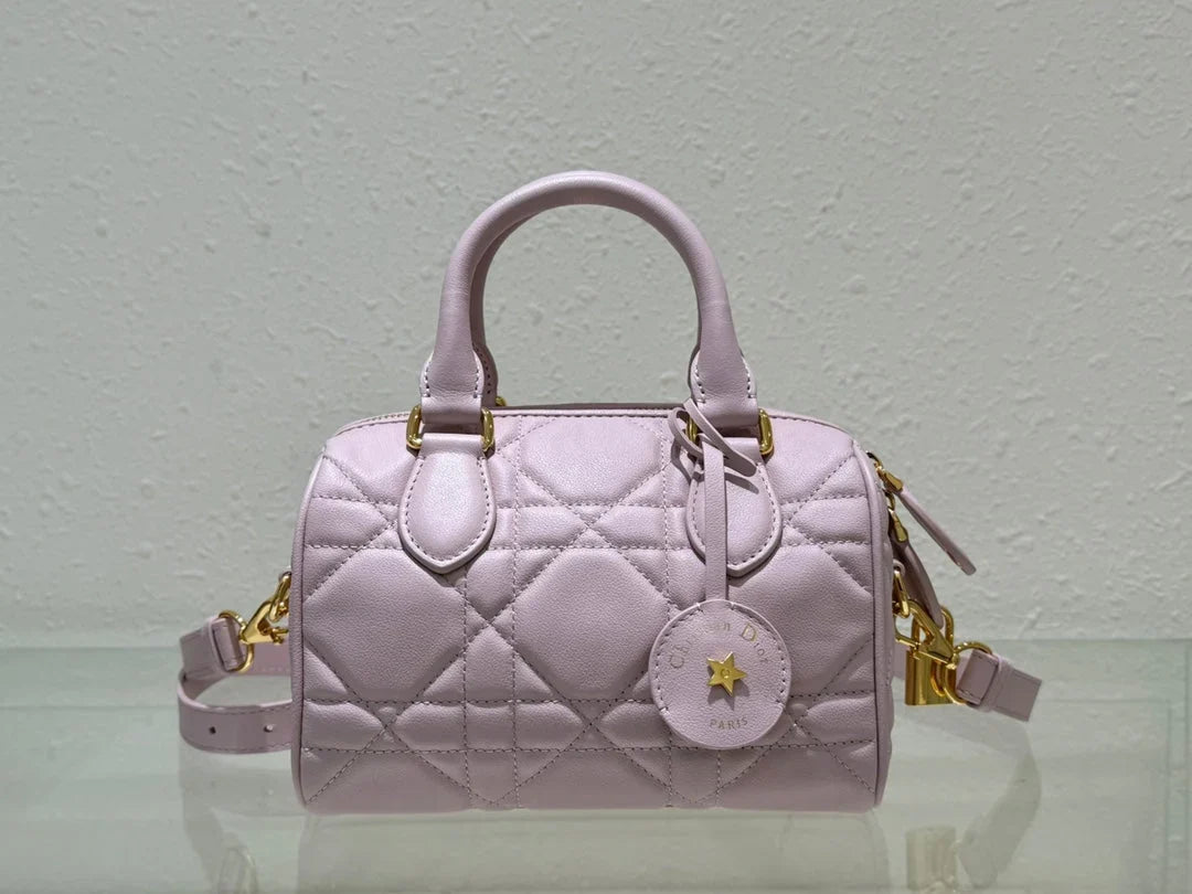 Dior 2026 Groove Bag Pink Calfskin Gold Hardware
