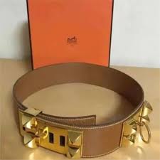collier de chien belt 45mm red epsom gold buckle