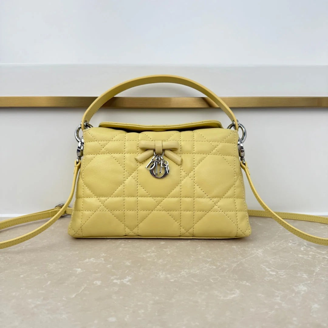 Dior 2026 Adiorable Top Handle Bag 22.5cm Suede Lambskin 166137