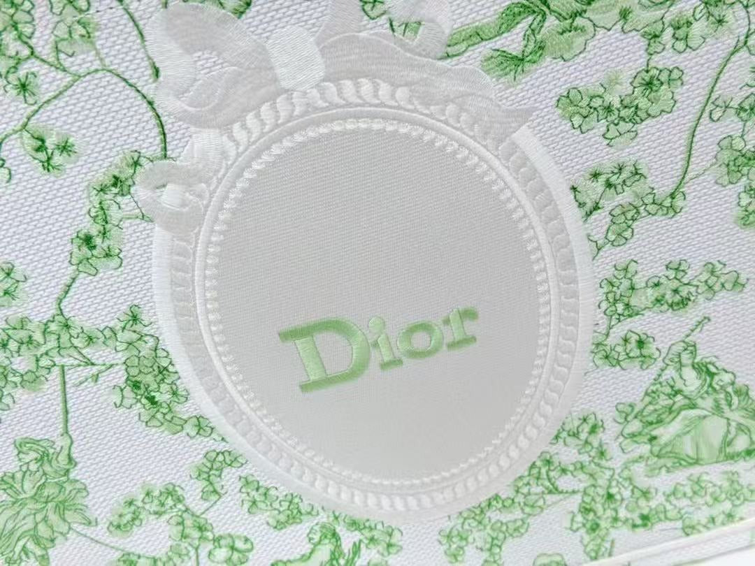 Dior 2026 Book Tote 41cm with Strap Green White Canvas