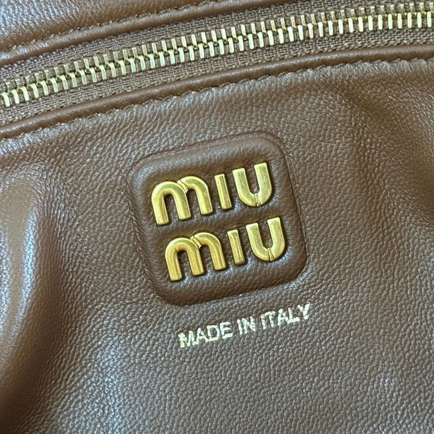 Miu Caprice Clutch 28 Dark Brown in Snakeskin 285282