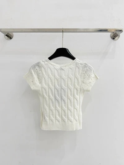 Chanel 2026 Short-sleeved Slim Fit Knit Sweater Wool Polyester 341194