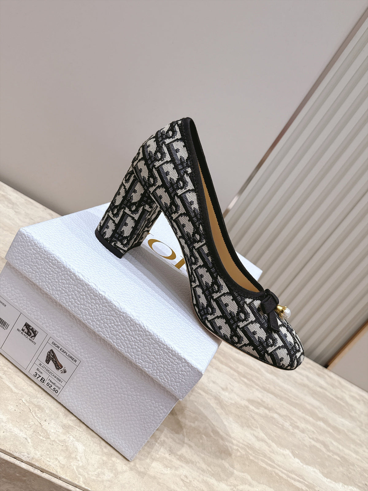 CD 26s Block Heel Pumps 7cm White Black Oblique Canvas 121657