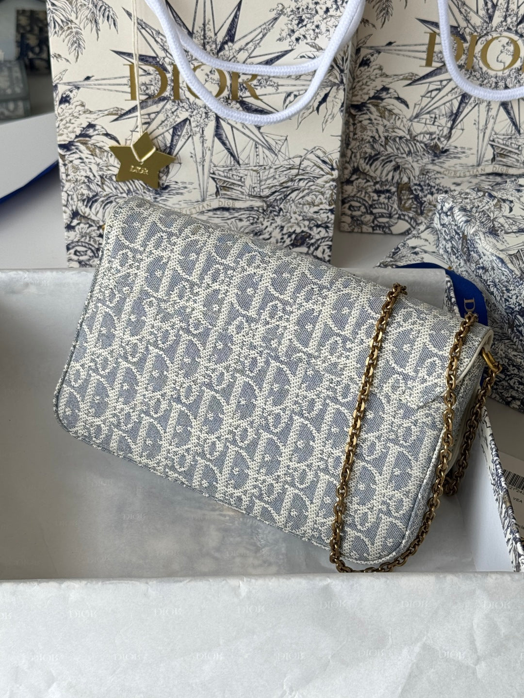 CD Medium Saddle Pouch with Chain 21.5cm White Grey Jacquard Cowhide GHW