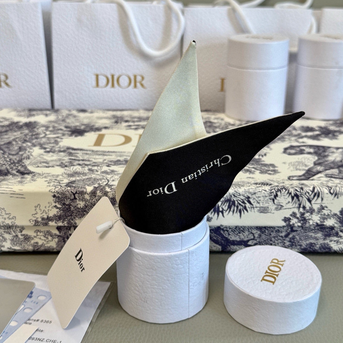 Dior 26s Scarf 100cm In Silk 313134