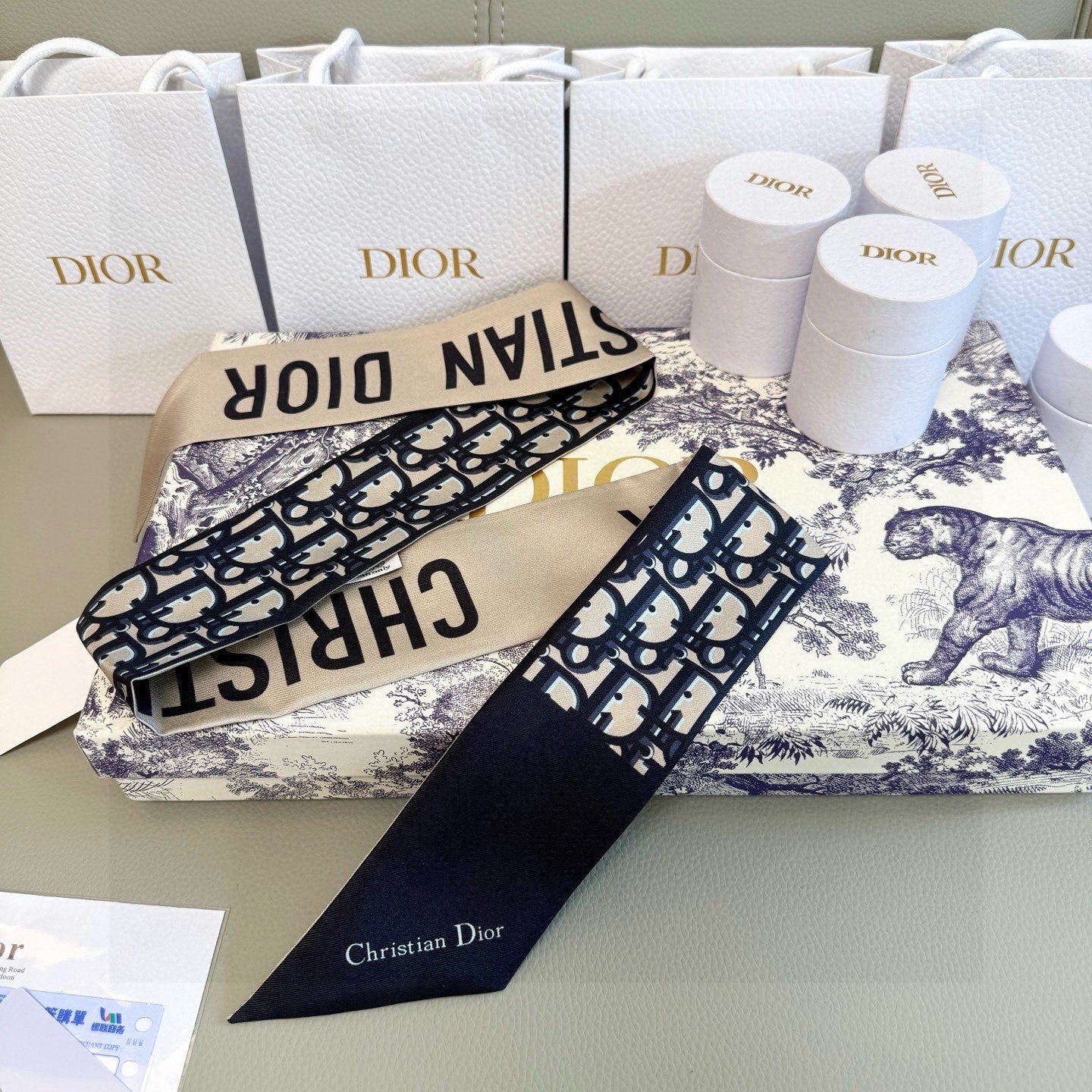 Dior 26s Scarf 100cm In Silk 313136
