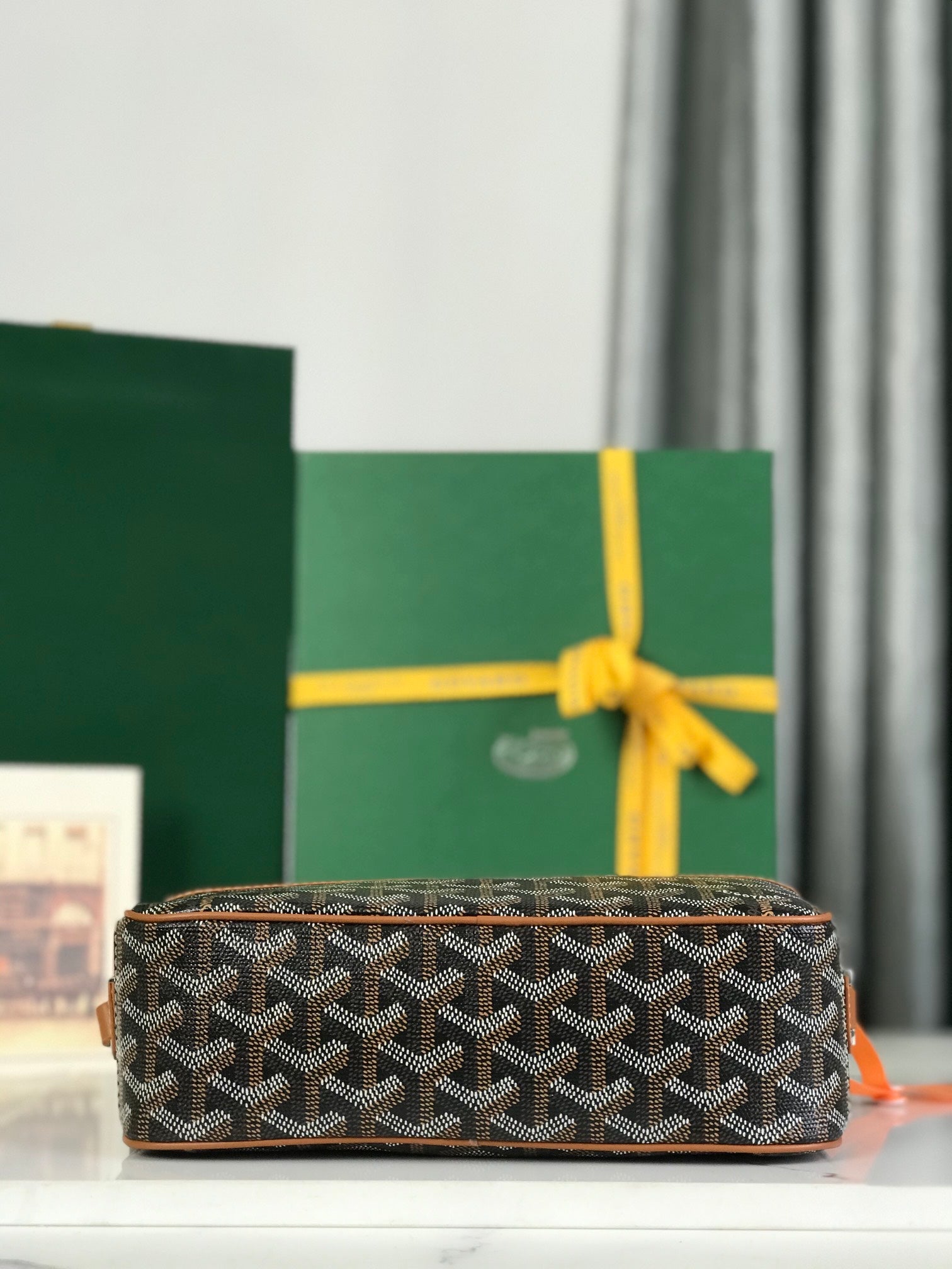 Goyard Cap-Vert Camera Bag Black Brown Calfskin Canvas 290854