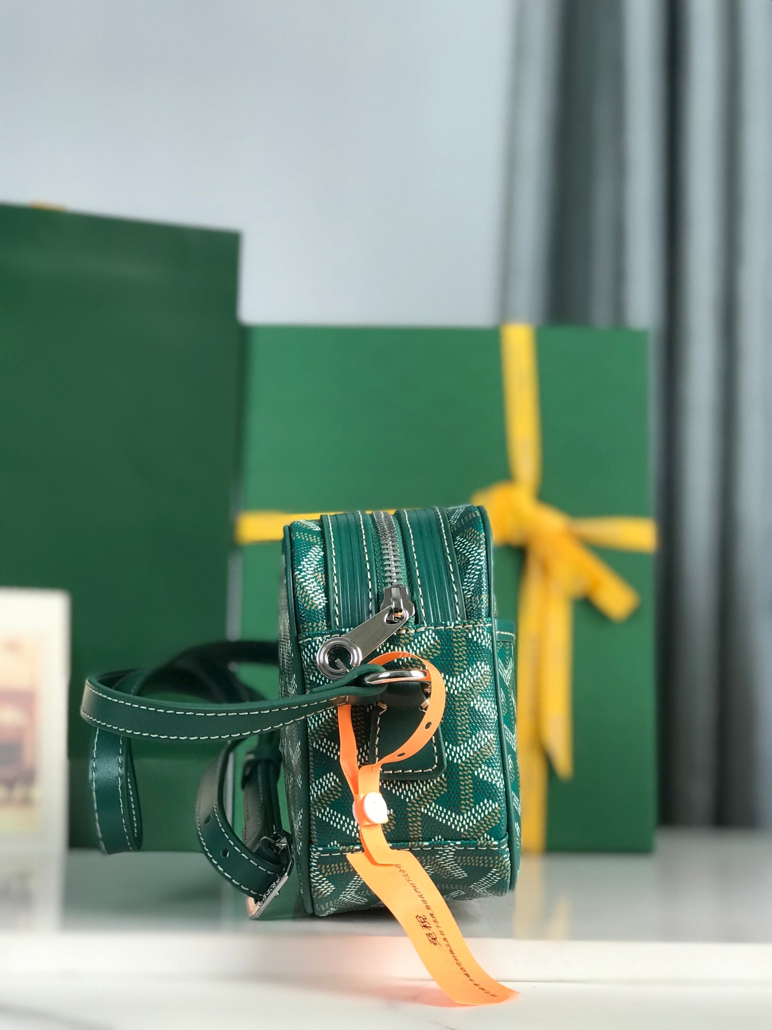 Goyard Cap-Vert Camera Bag Teal Green Calfskin Canvas 290858