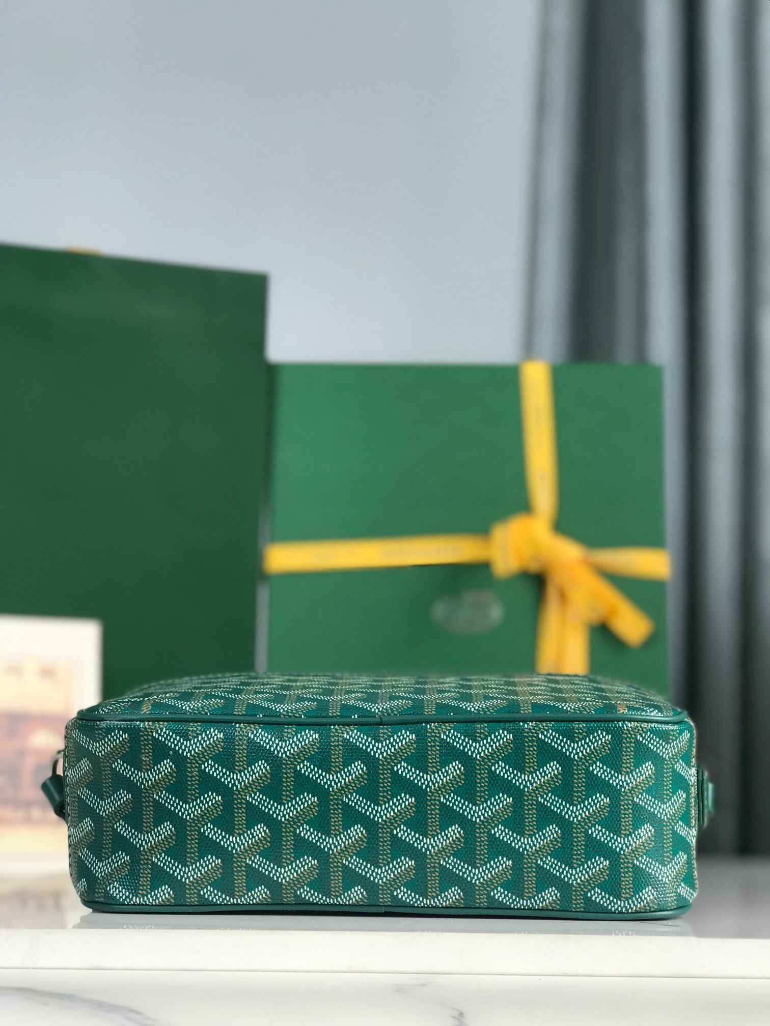 Goyard Cap-Vert Camera Bag Teal Green Calfskin Canvas 290858
