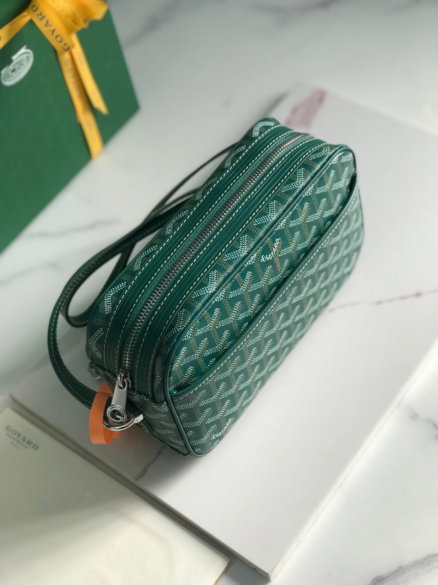 Goyard Cap-Vert Camera Bag Teal Green Calfskin Canvas 290858