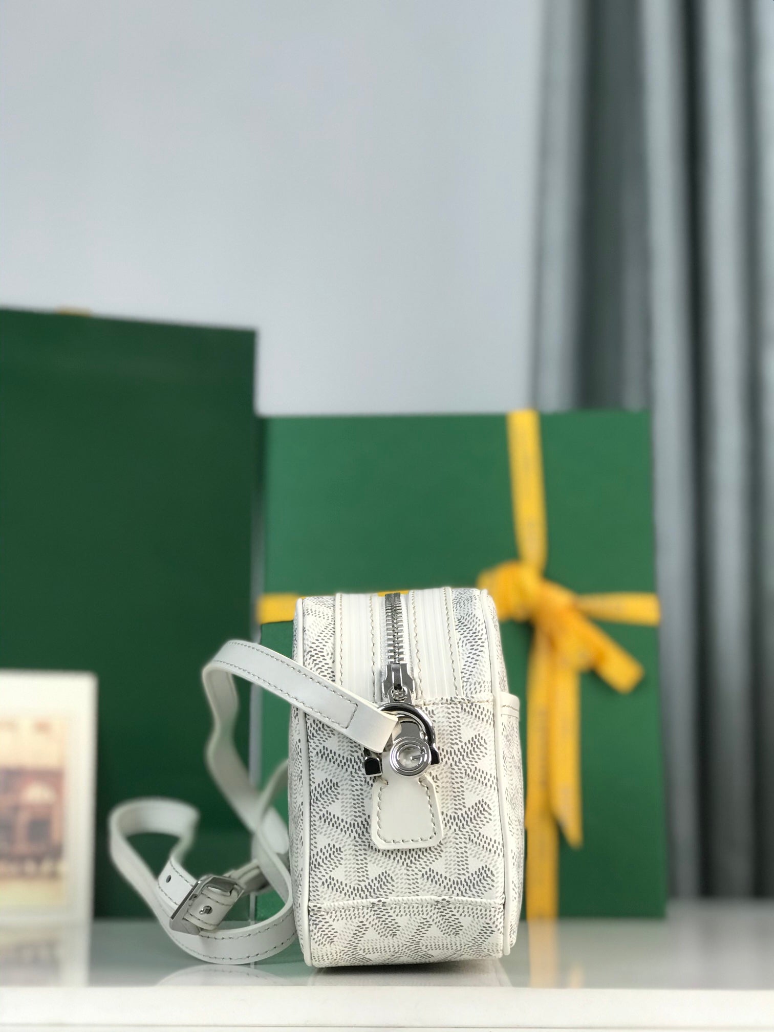 Goyard Cap-Vert Camera Bag White Calfskin Canvas 290851