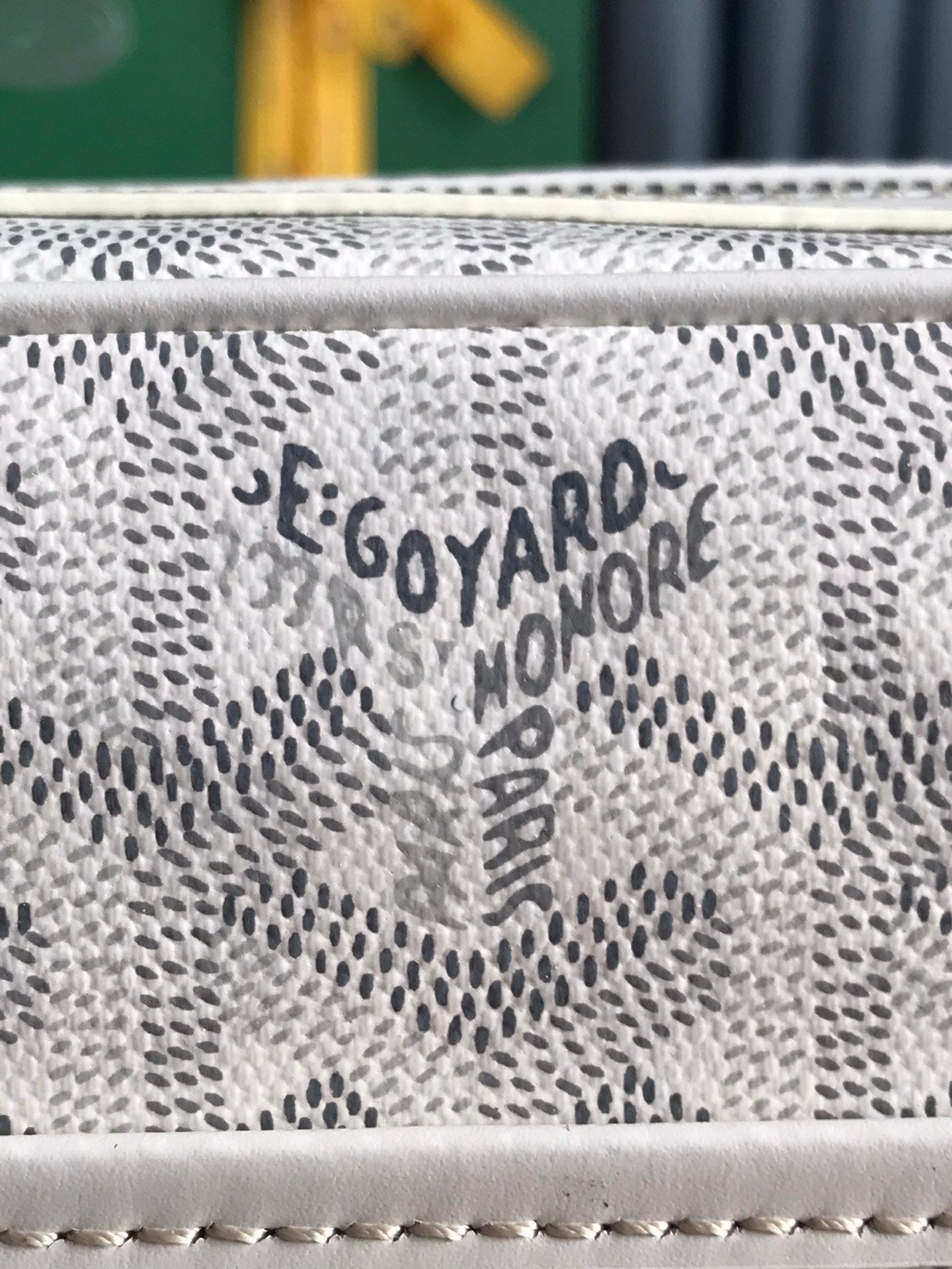 Goyard Cap-Vert Camera Bag White Calfskin Canvas 290851