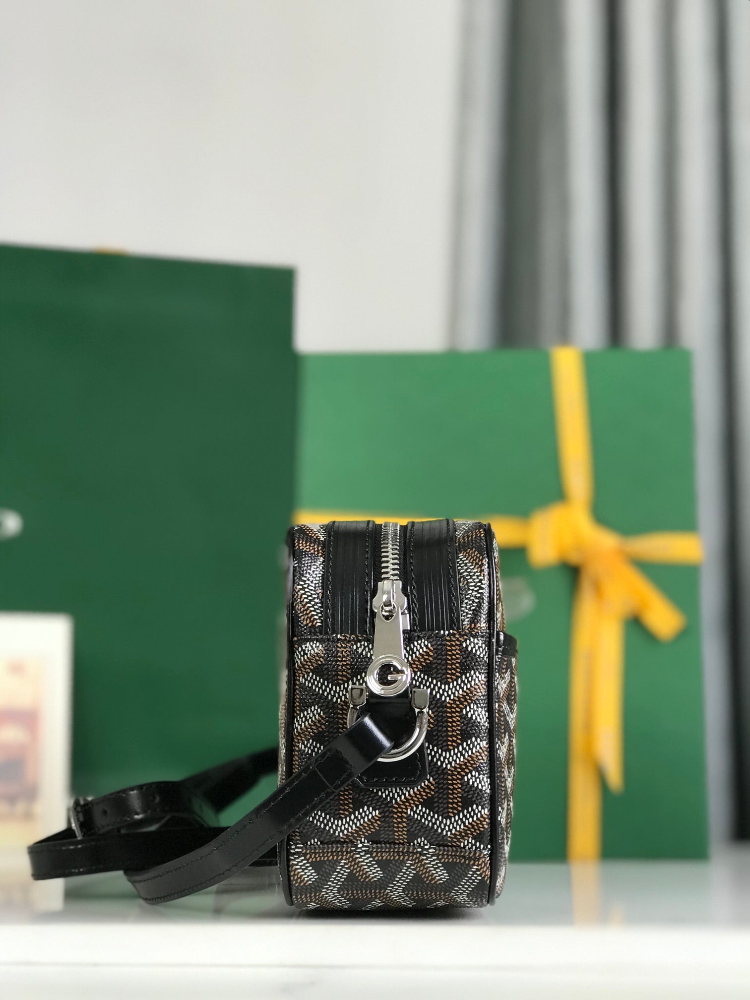 Goyard Cap-Vert Camera Bag Black Calfskin Canvas 290850