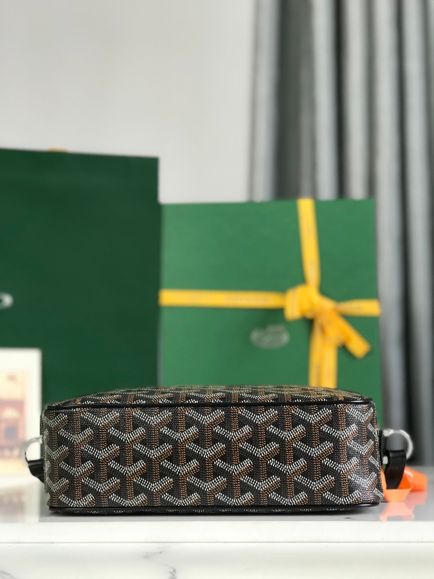 Goyard Cap-Vert Camera Bag Black Calfskin Canvas 290850