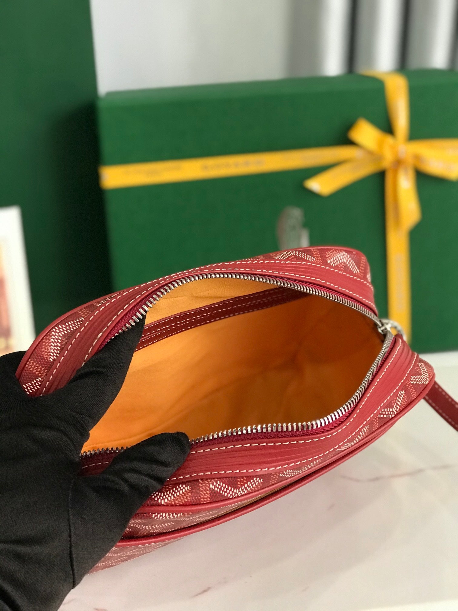 Goyard Cap-Vert Camera Bag Red Calfskin Canvas 290856