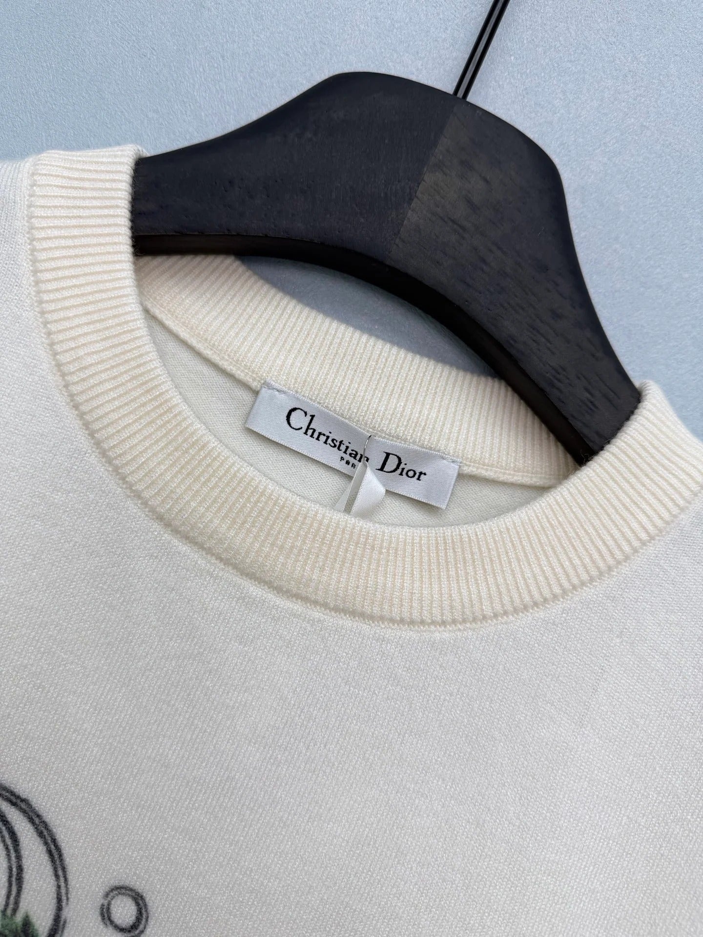 Dior 2026 Floral Embroidery Short-Sleeved Knit Top Cream and Blue Wool