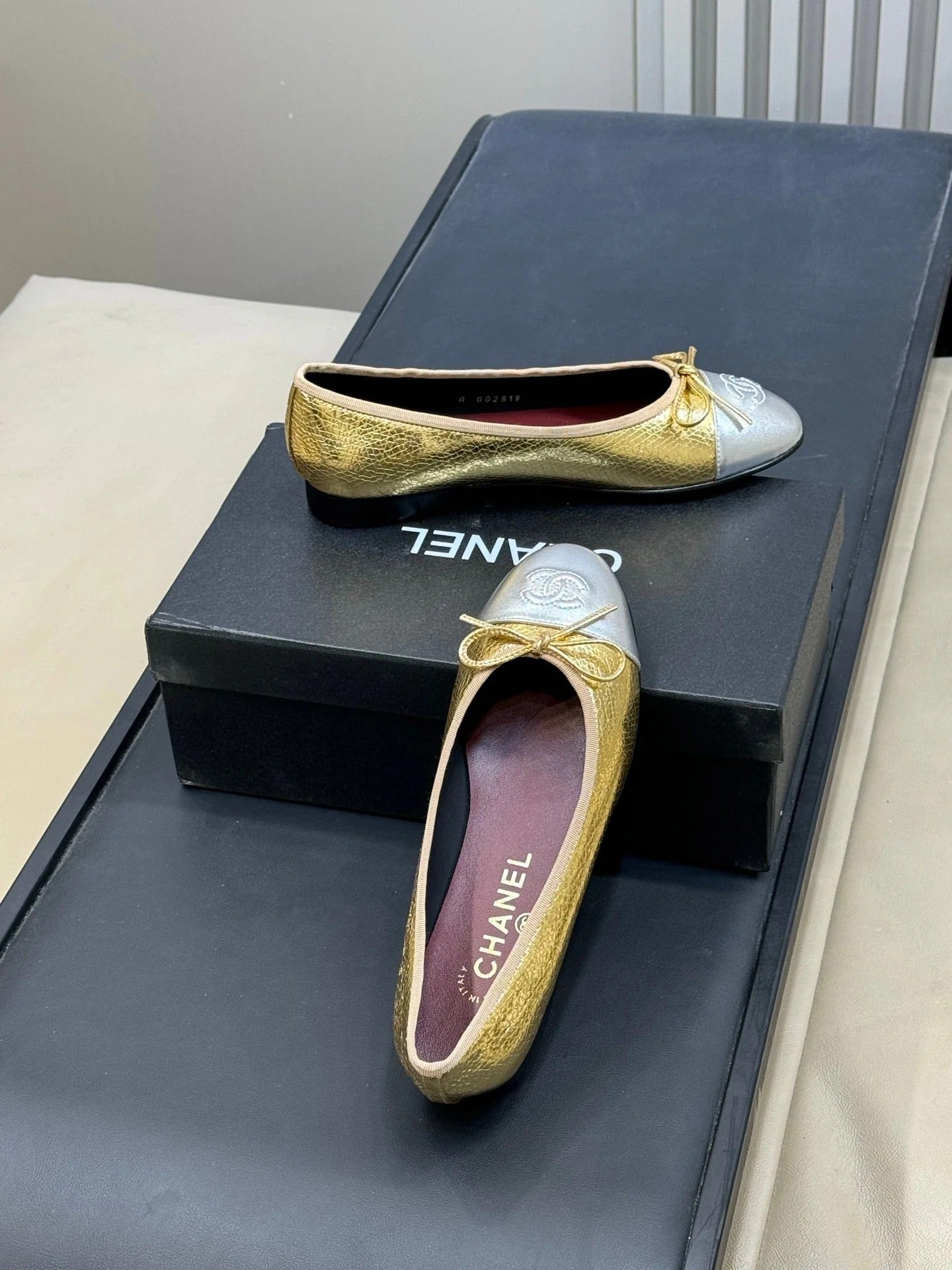 Chanel 2026 Ballet Flat Gold Silver Leather