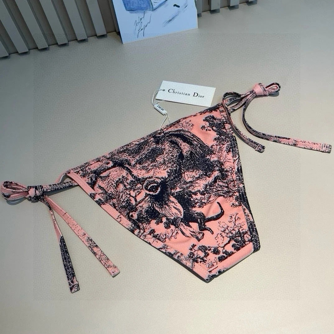 DIOR BIKINI 25S TWO PIECE IN 742647