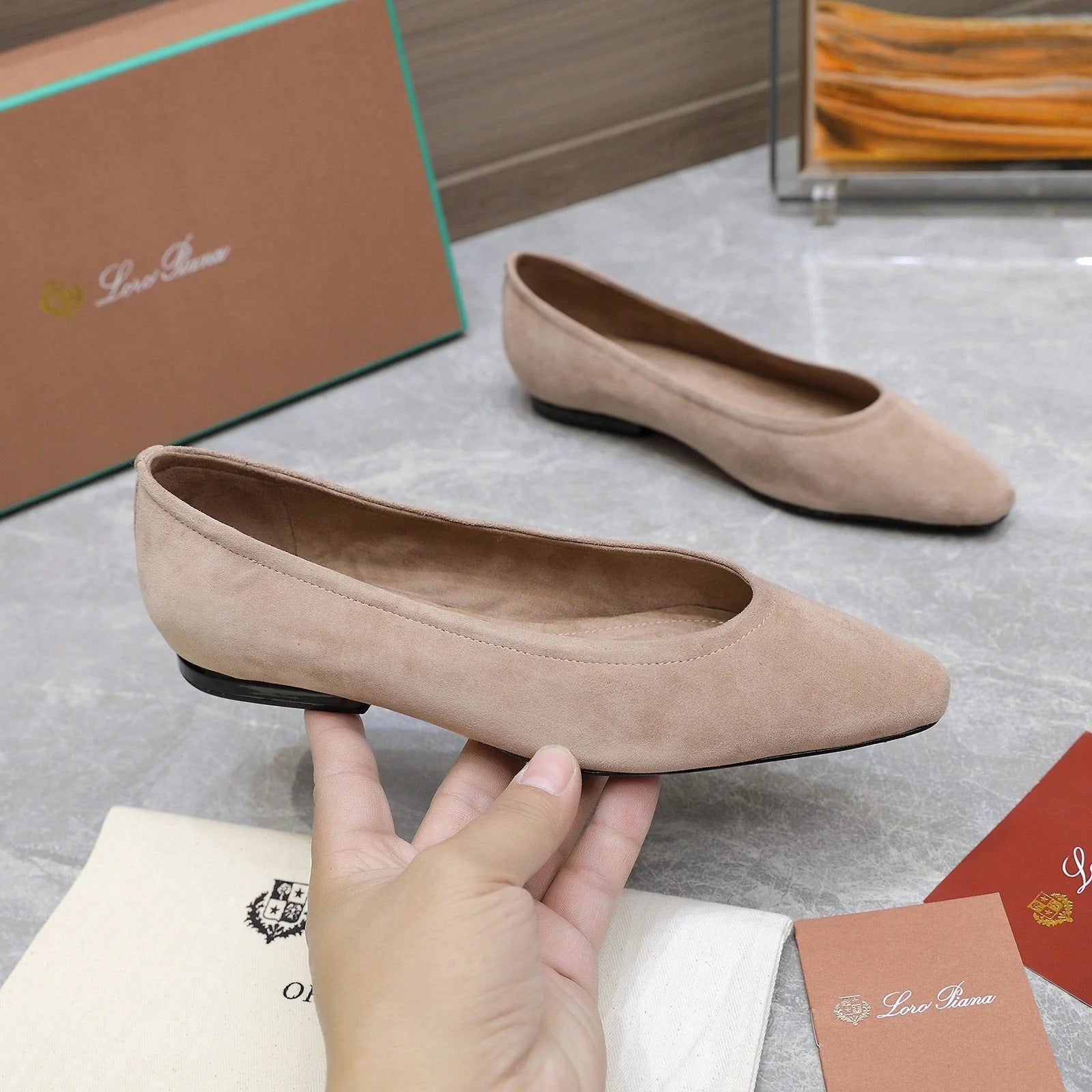 Classic Ballet Shoes In Beige Suede