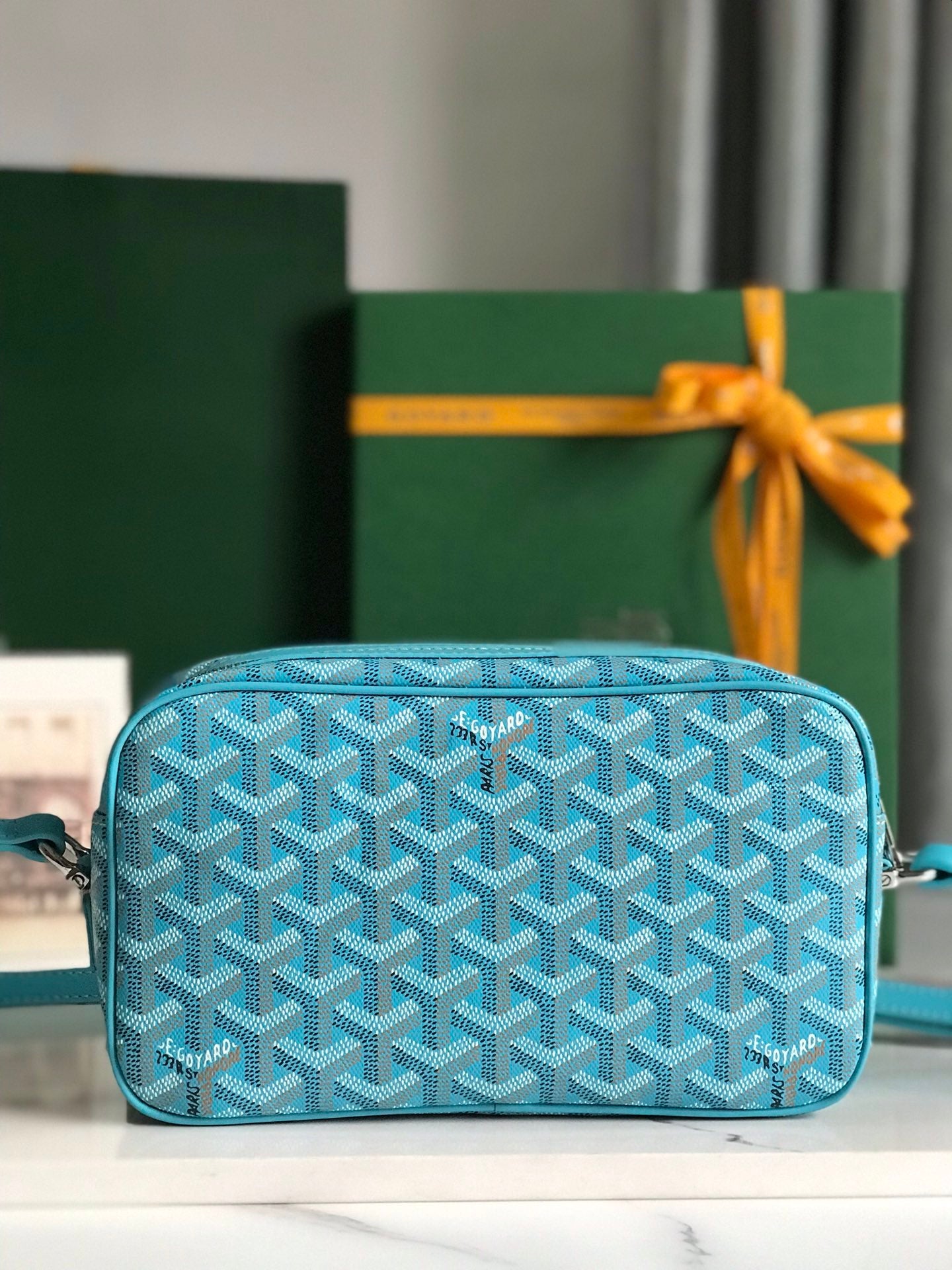 Goyard Cap-Vert Camera Bag Light Blue Calfskin Canvas 290861