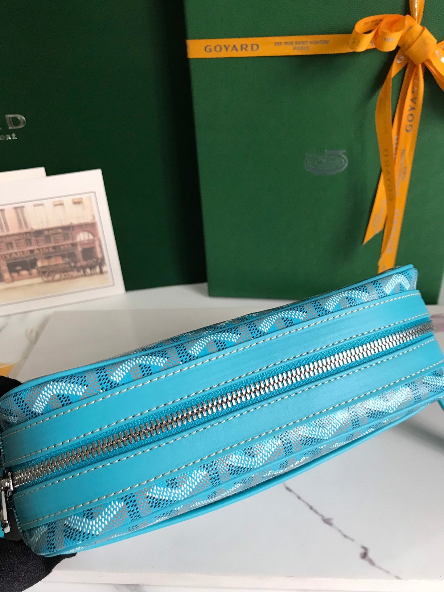 Goyard Cap-Vert Camera Bag Light Blue Calfskin Canvas 290861