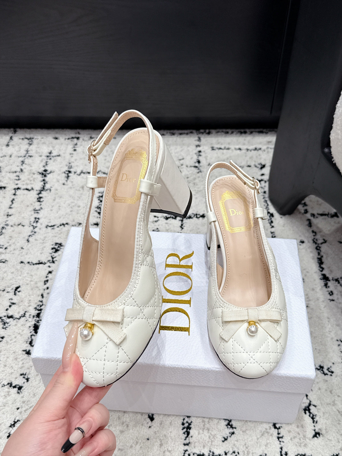 Dior 2026 Ballet Slingback 85mm Leather Canvas 139297