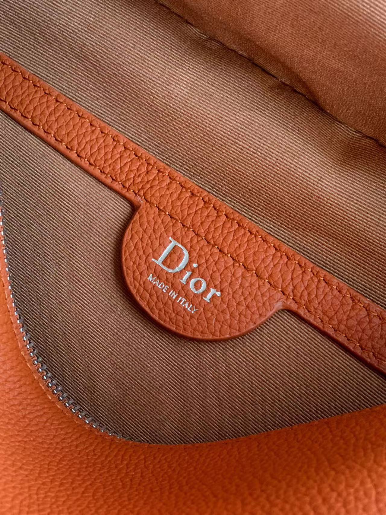 CD Dior Archie Zipped Bag with Strap Calfskin