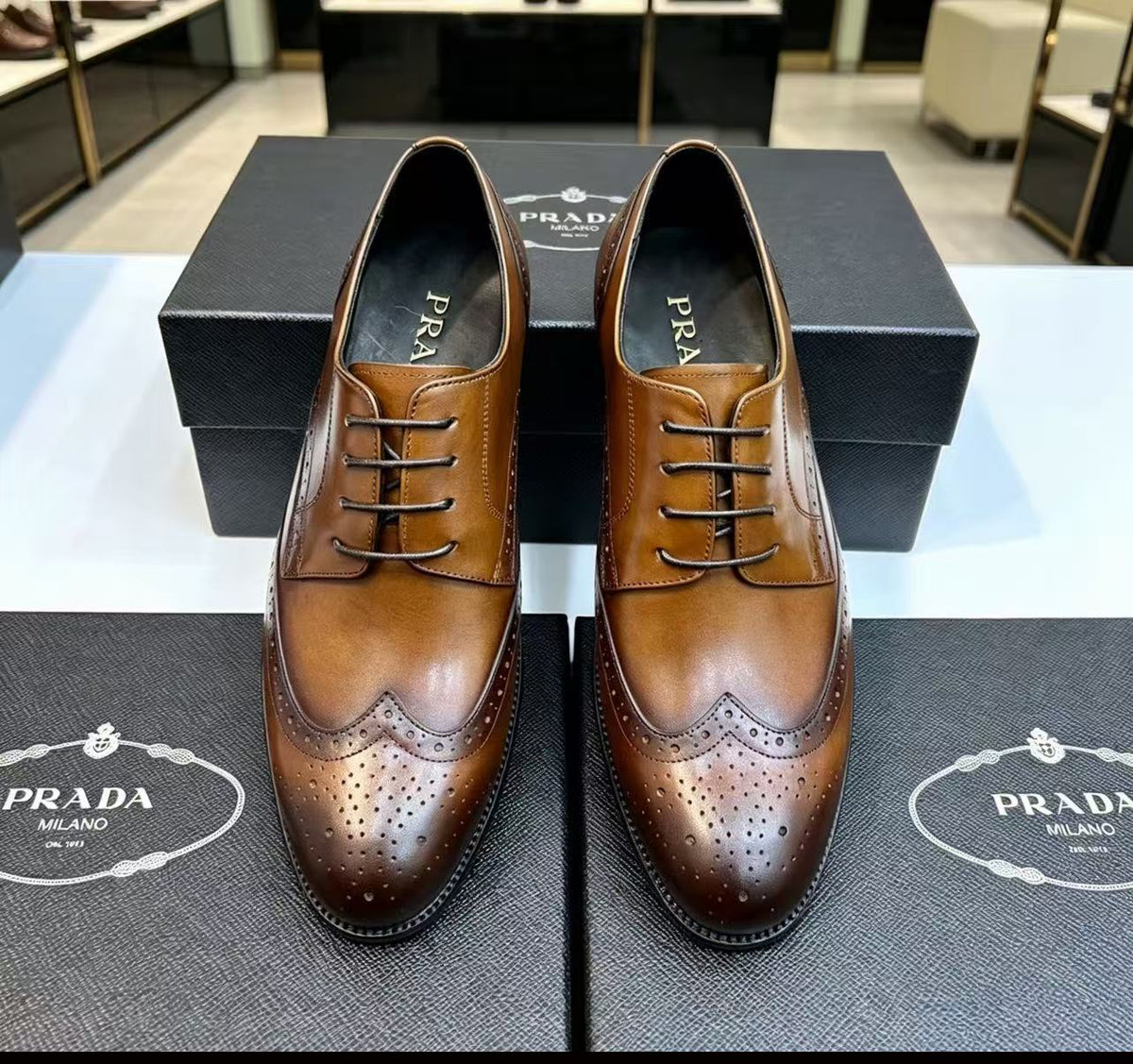 Prada 26s Wingtip Oxfords Men Loafer 2.5cm Brown Leather