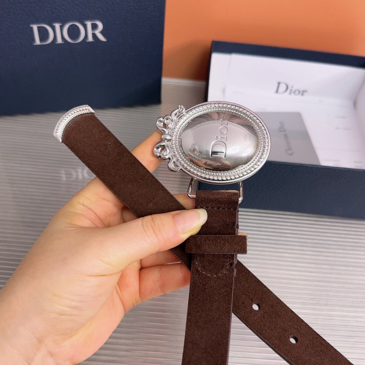Dior 2026 Medaillon Belt 25mm Suede 218667