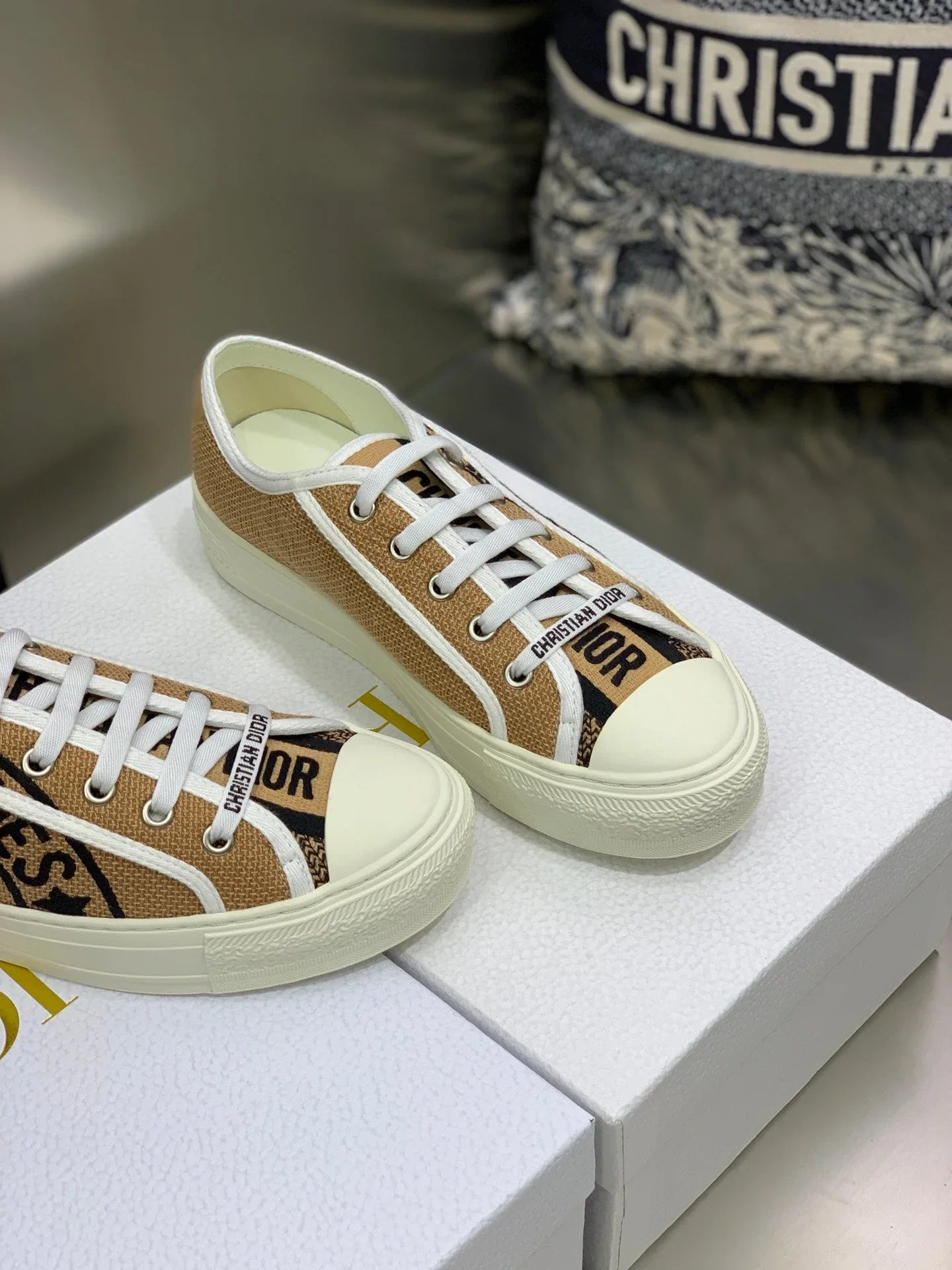 Dior 2026 Walk'n'Dior Sneakers Canvas 966620