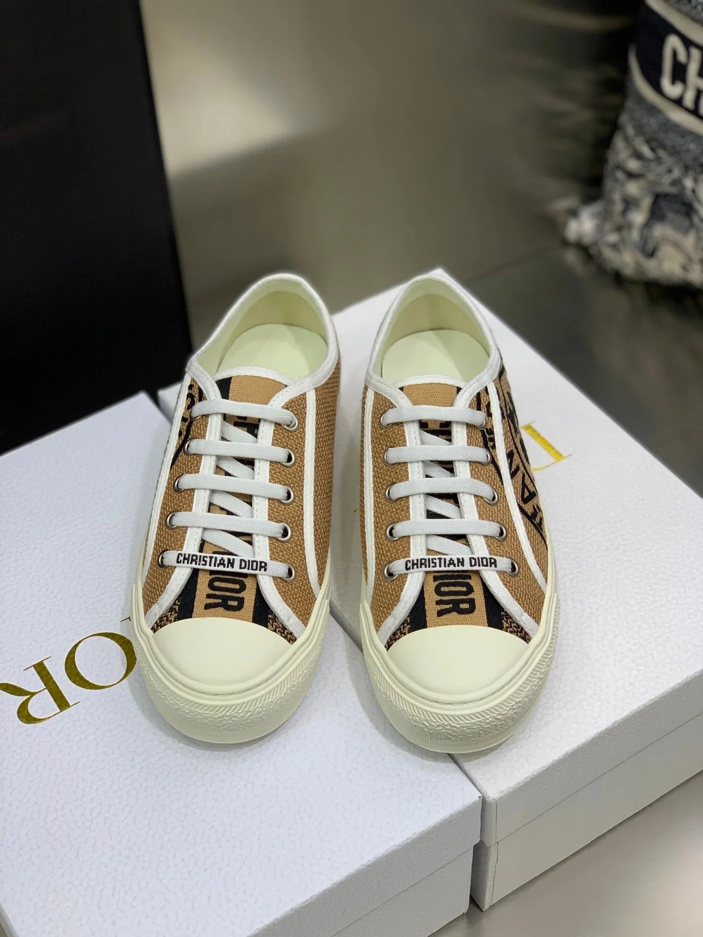 Dior 2026 Walk'n'Dior Sneakers Canvas 966620
