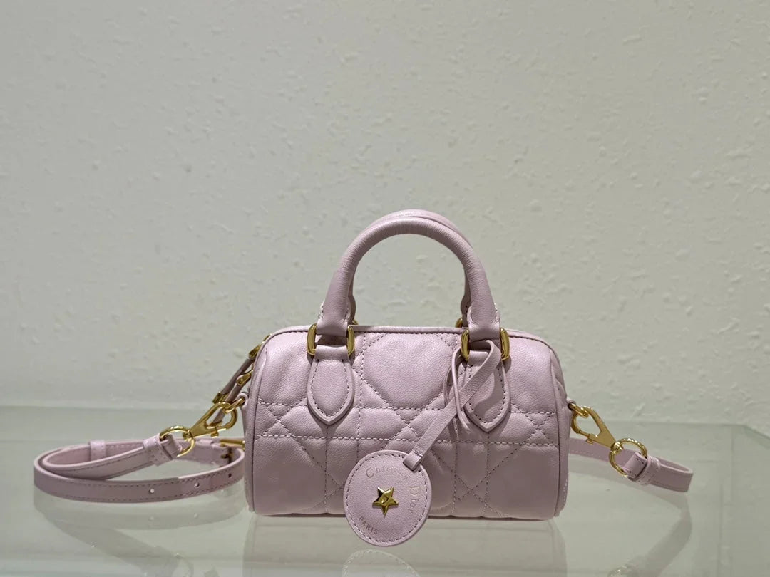 Dior 2026 Groove Bag Pink Calfskin Gold Hardware