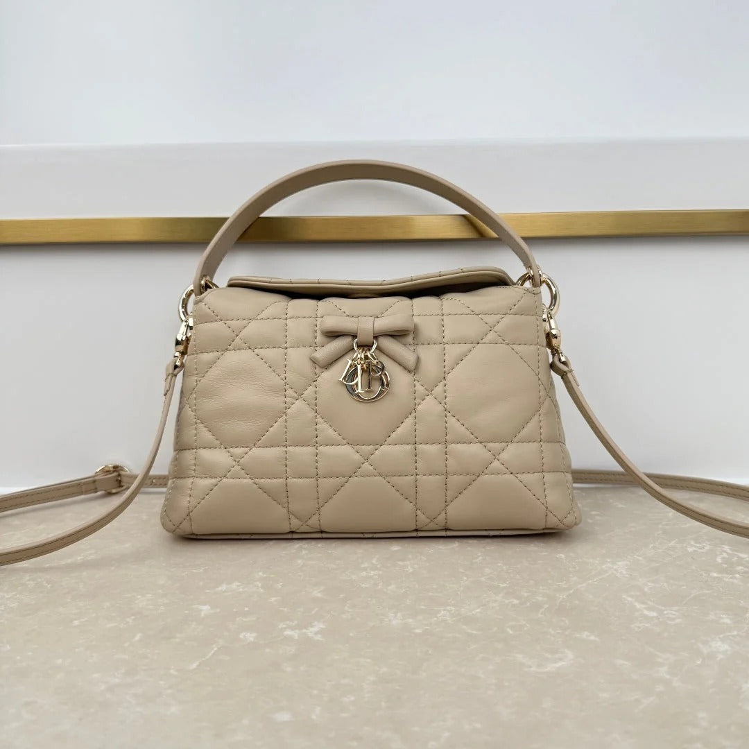 Dior 2026 Adiorable Top Handle Bag 22.5cm Suede Lambskin 166137