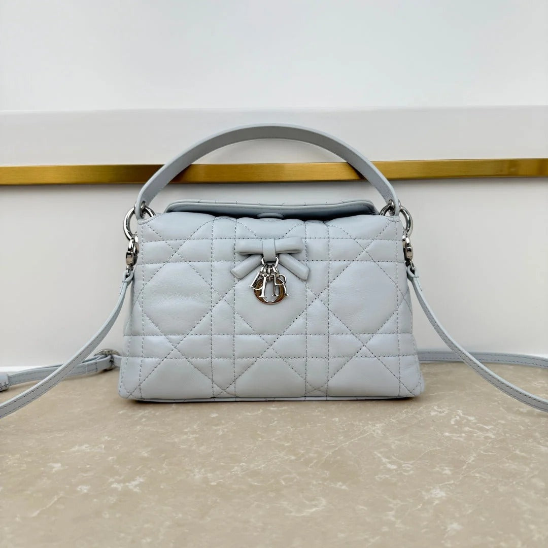 Dior 2026 Adiorable Top Handle Bag 22.5cm Suede Lambskin 166137