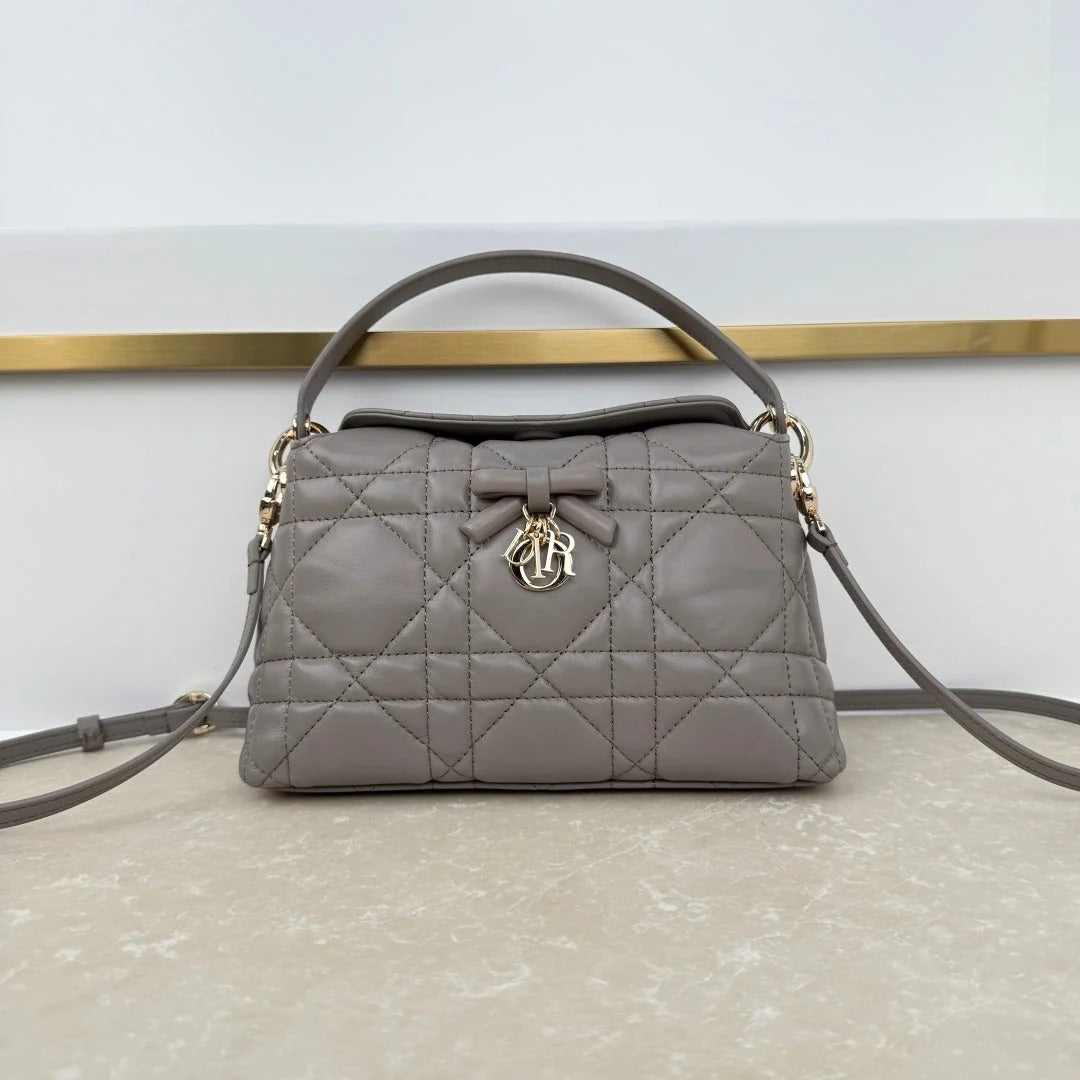 Dior 2026 Adiorable Top Handle Bag 22.5cm Suede Lambskin 166137