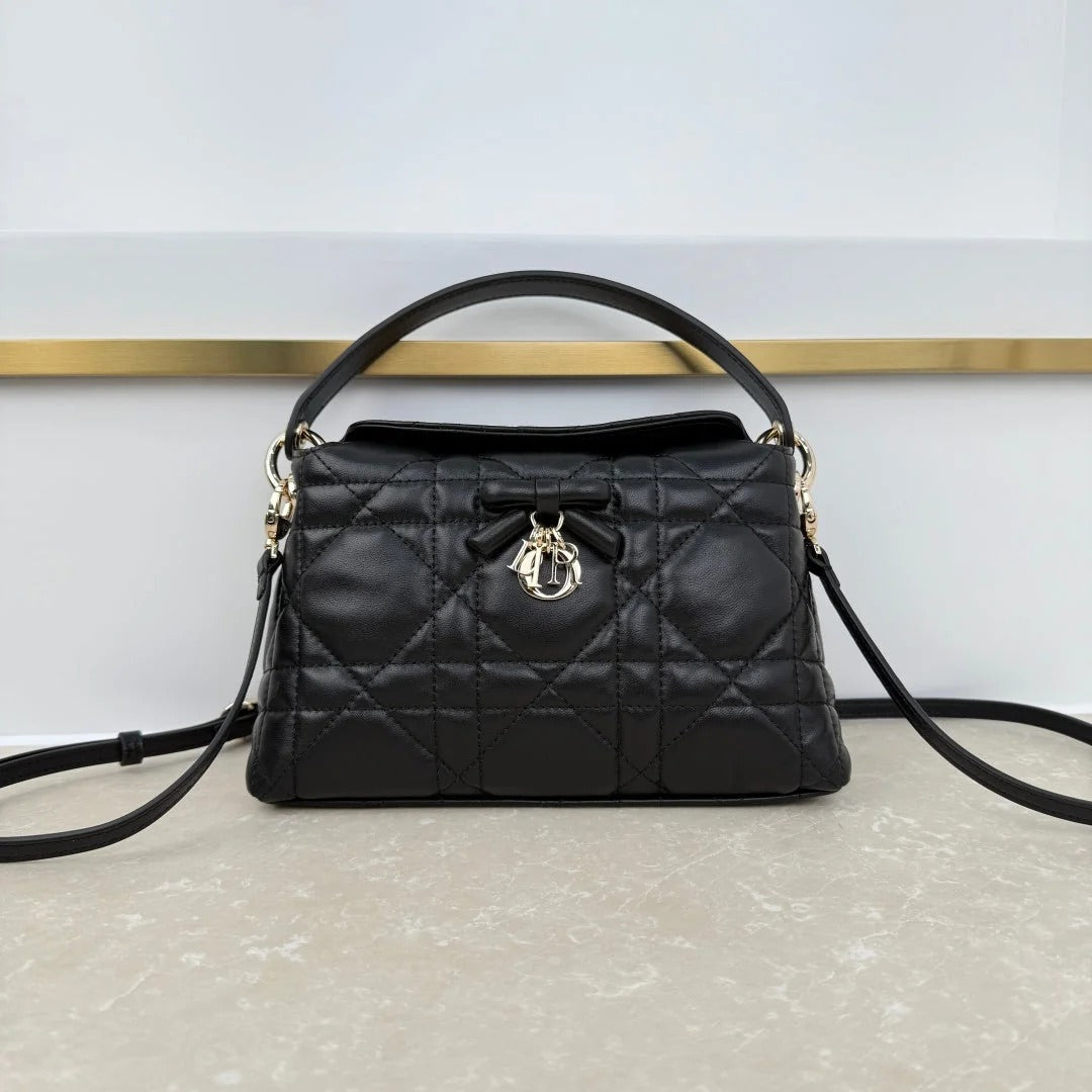 Dior 2026 Adiorable Top Handle Bag 22.5cm Suede Lambskin 166137