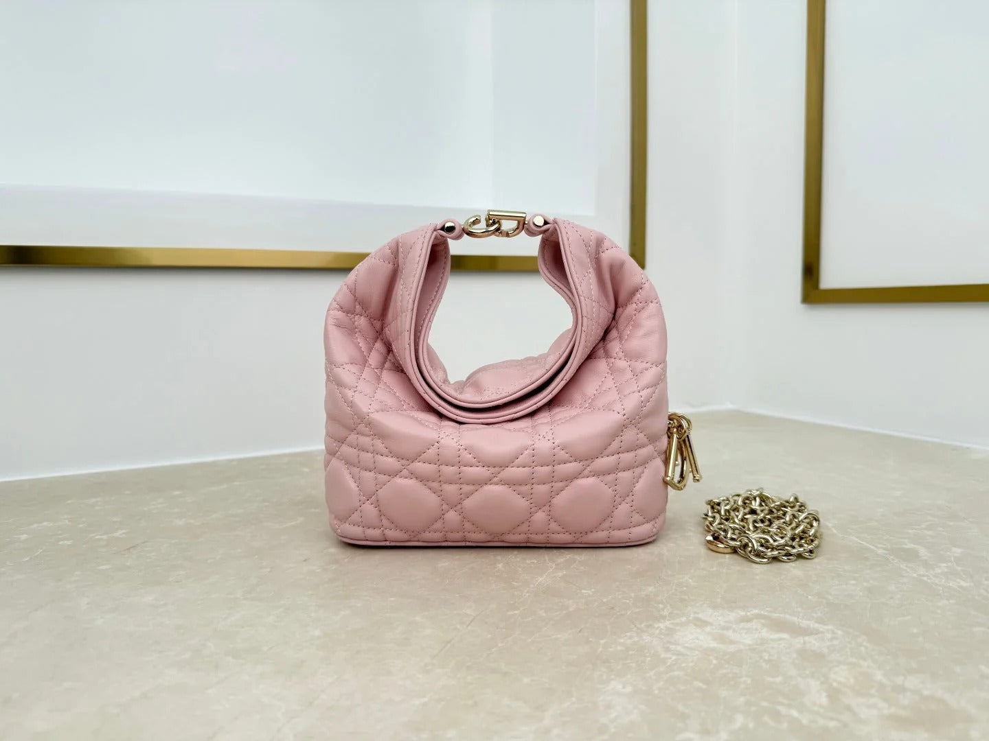 Dior 2026 Toujours Hobo Bag Lambskin