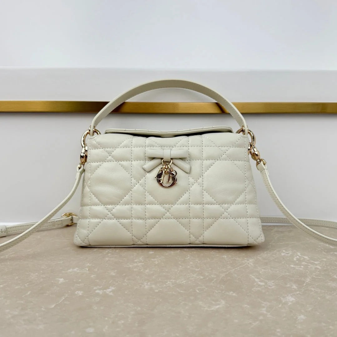 Dior 2026 Adiorable Top Handle Bag 22.5cm Suede Lambskin 166137