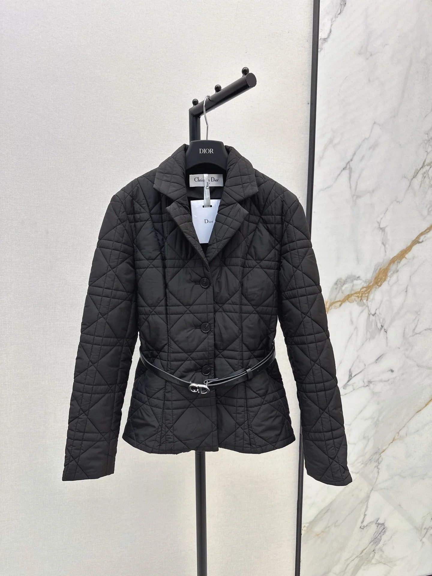 Dior 2026 Cannage Quilted Jacket Down Nylon 773944