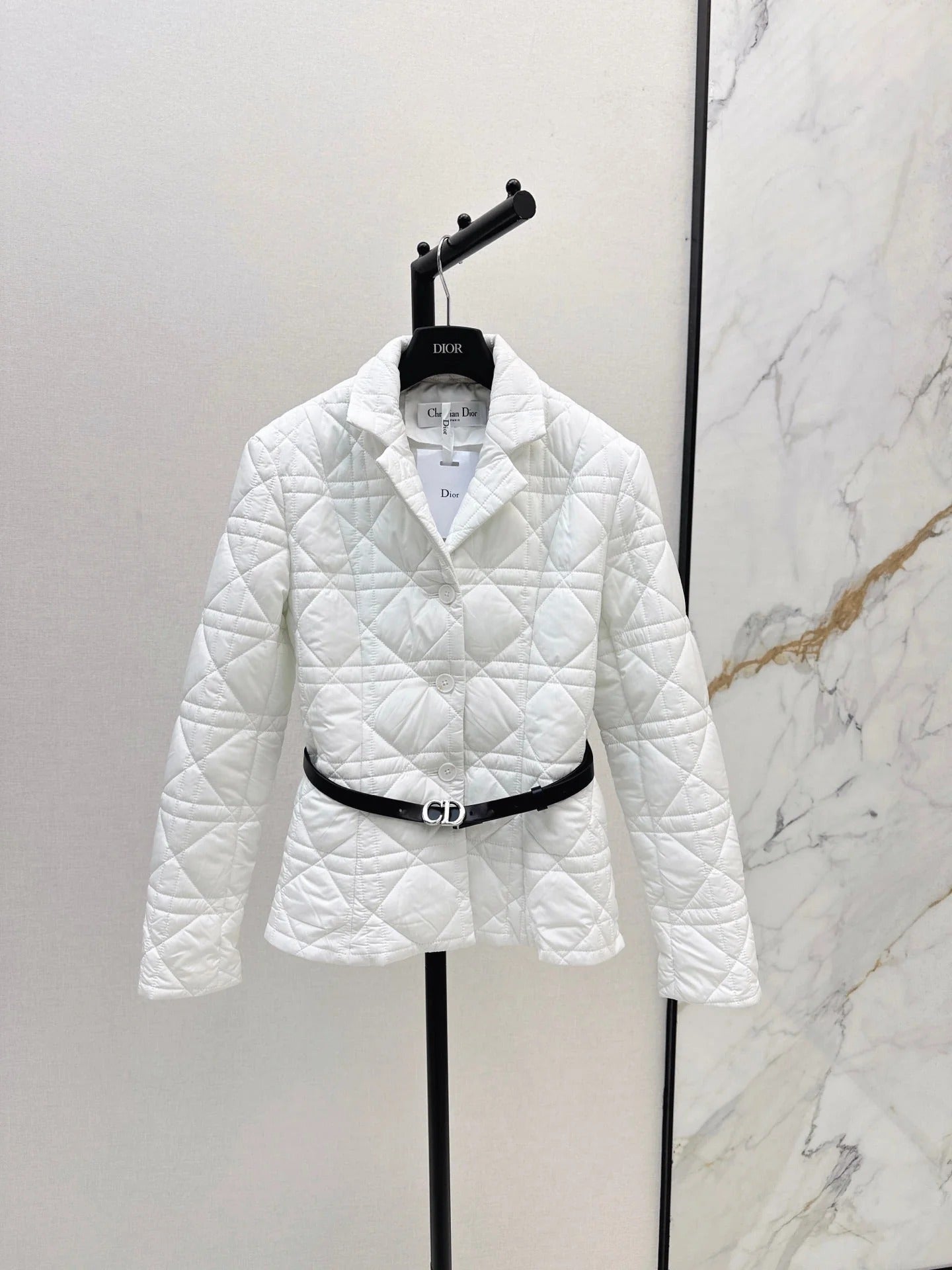 Dior 2026 Cannage Quilted Jacket Down Nylon 773944