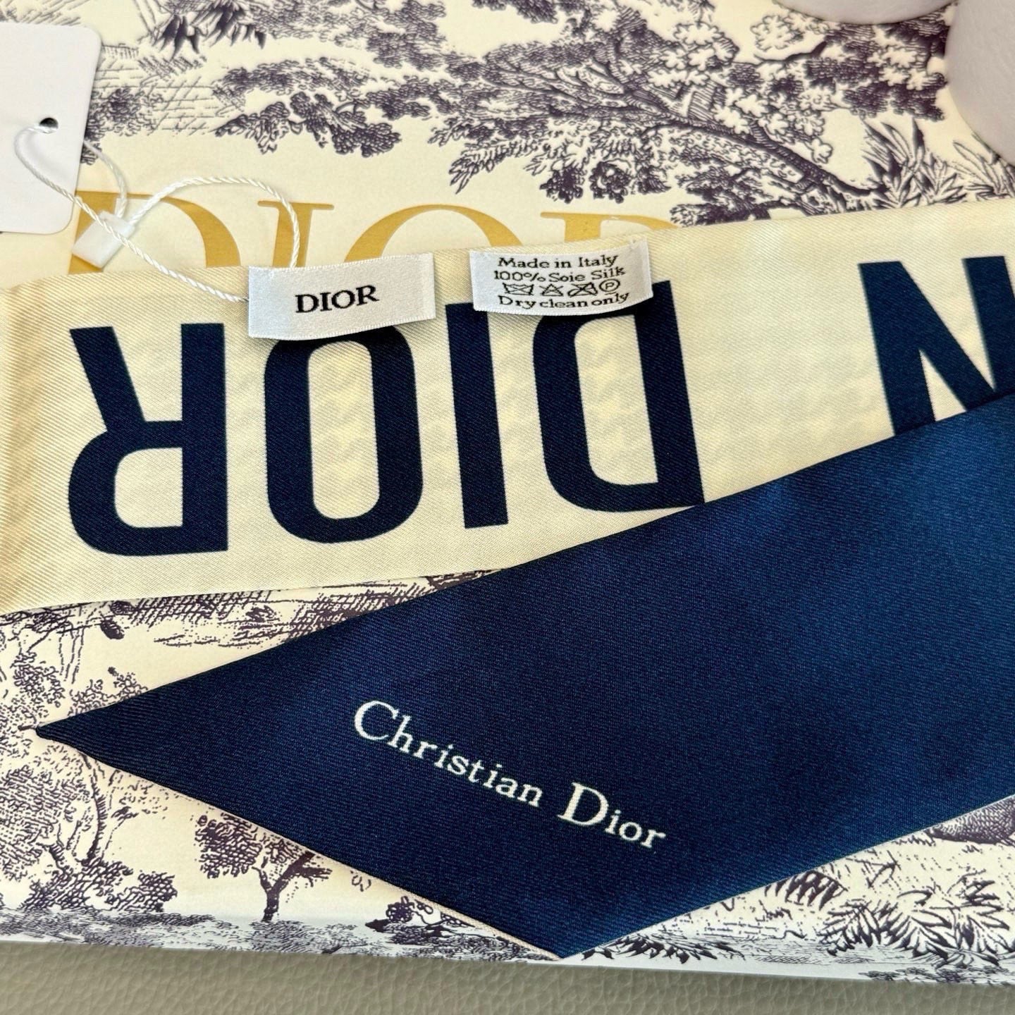 Dior 26s Scarf 100cm In Silk 313133