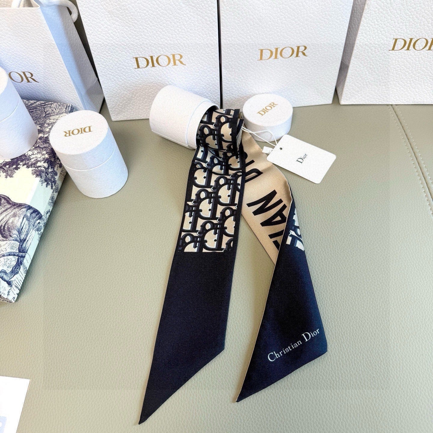 Dior 26s Scarf 100cm In Silk 313136