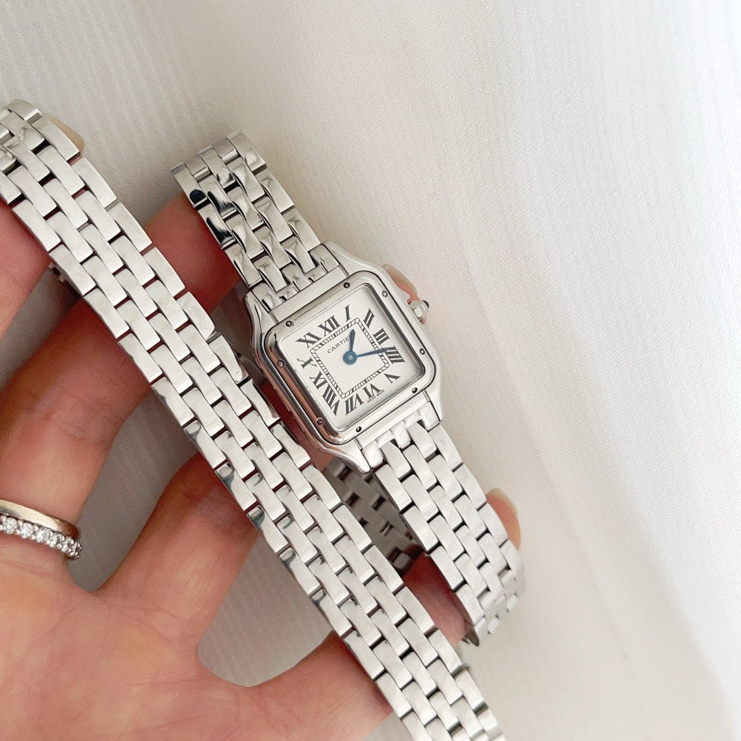 Panthere 22mm Silver Double Chain 44cm